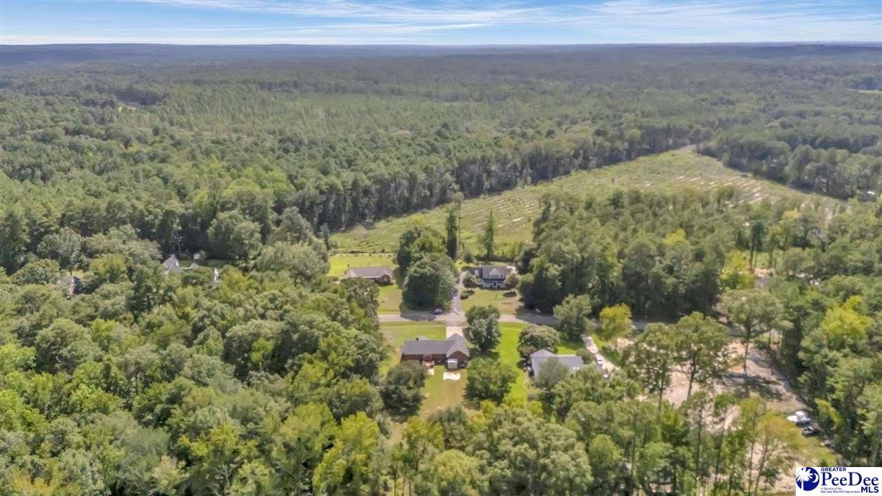 124 Peachtree Drive Photo 38