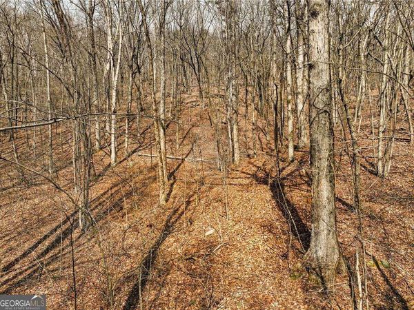 LOT 6 Mount Mincie Road, Murrayville, GA 30564
