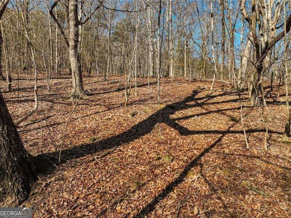 LOT 8 Mount Mincie Road, Murrayville, GA 30564