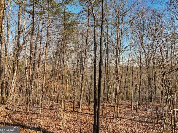 LOT 9 Mount Mincie Road, Murrayville, GA 30564