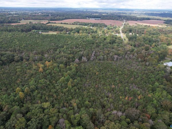 29.57 Ac County Road 155, Flat Rock, AL 35966