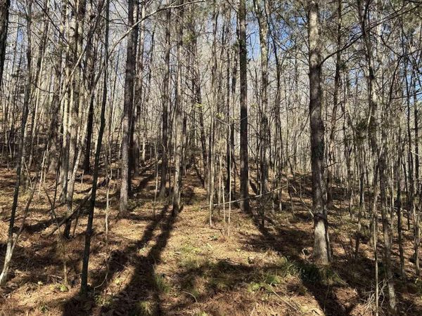 lot 11 A County Road 3782, Arley, AL 35541