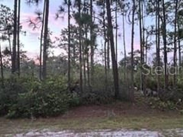 116 (BLK 62 LOT 8) CAMELLIA DRIVE, INDIAN LAKE ESTATES, FL 33855