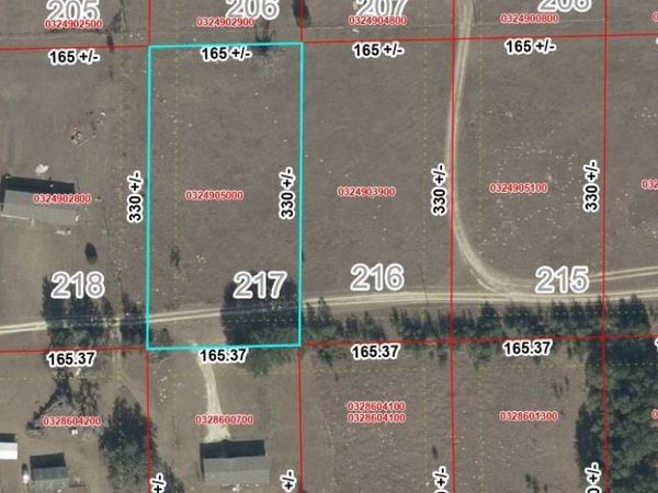 Lot 217 NE 100TH ST, ARCHER, FL 32618