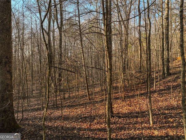 LOT 12 Mount Mincie Road, Murrayville, GA 30564