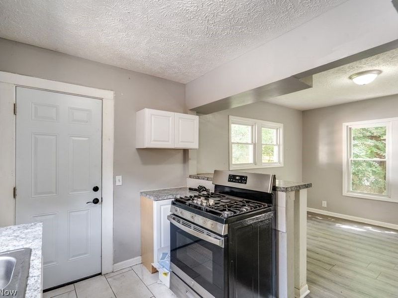 233 Sobul Avenue, Akron, OH 44305 Photo 19