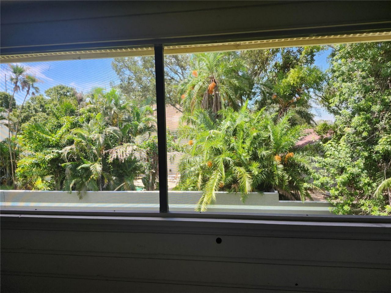 1400 Gandy Boulevard N, Unit 116, Saint Petersburg, FL 33702 Photo