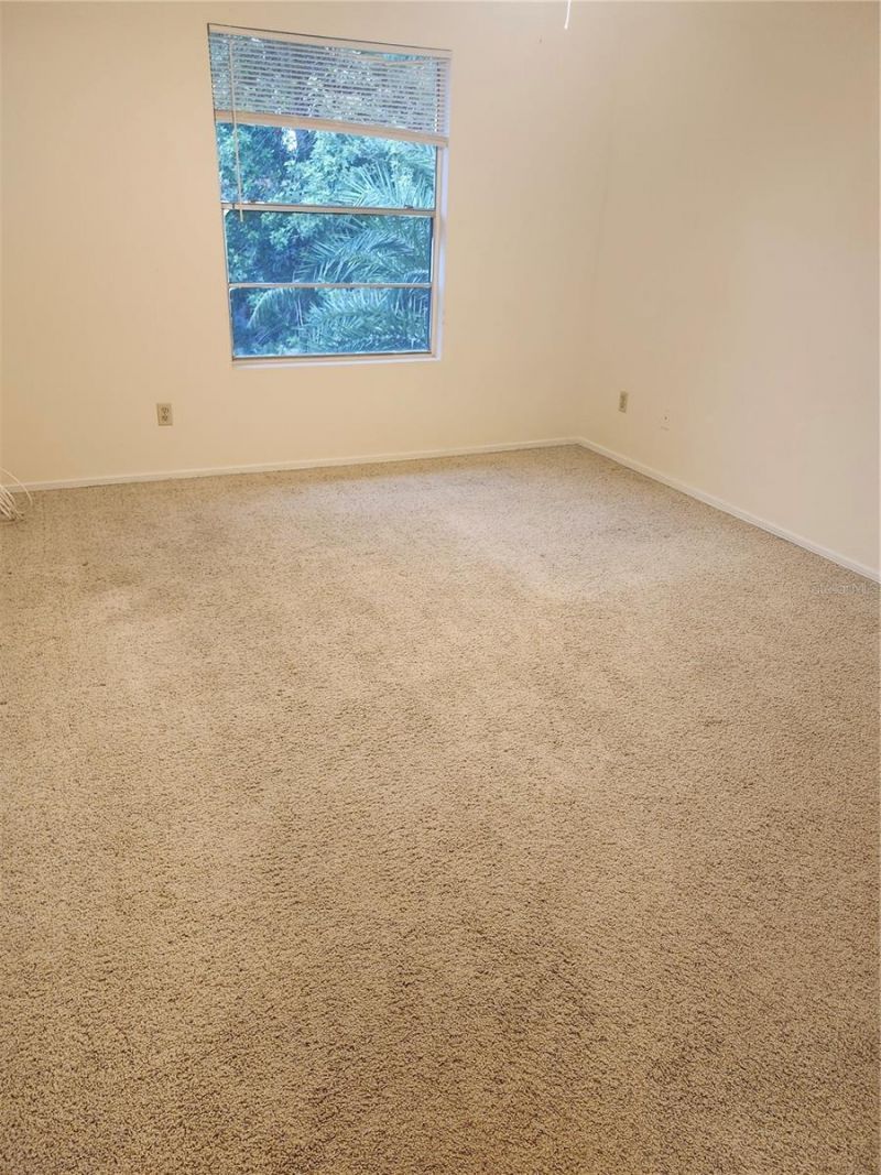 1400 Gandy Boulevard N, Unit 116, Saint Petersburg, FL 33702 Photo