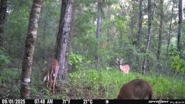 20109 NW 62nd Avenue, Alachua, FL 32615 Photo