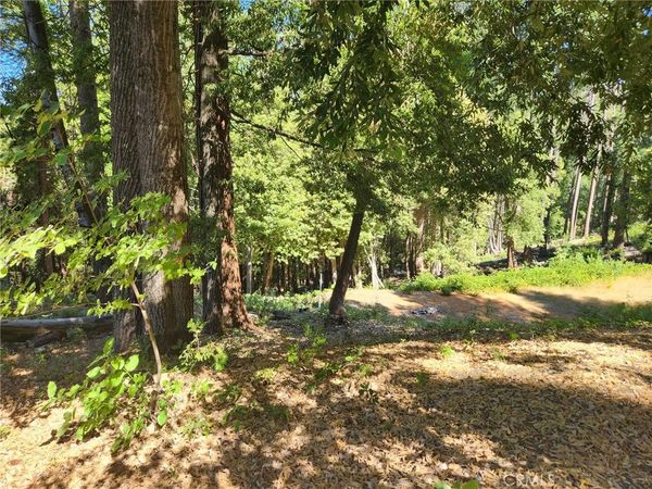 11157 Breezy Boulevard, Clipper Mills, CA 95930