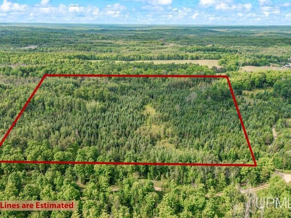 TBD Bartles Road, Breen Twp, MI 49834