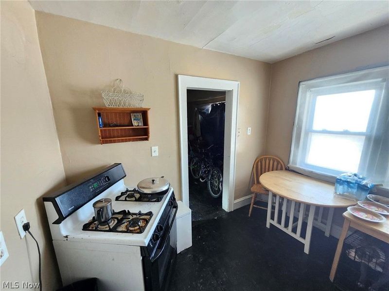 13305 Svec Avenue, Cleveland, OH 44120 Photo 13