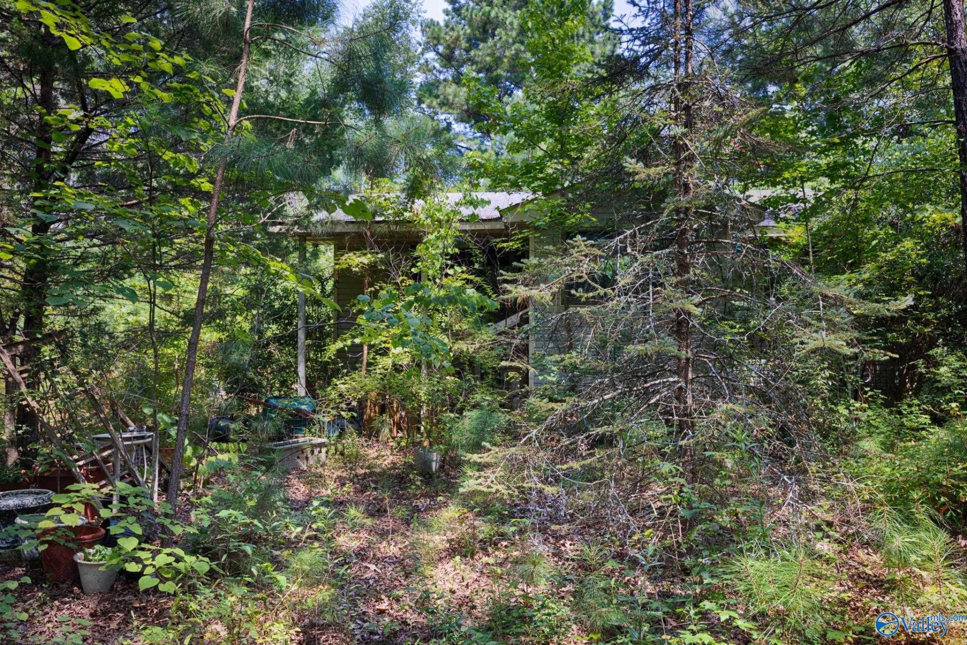 199 Williams Road, Toney, AL 35773 Main Photo