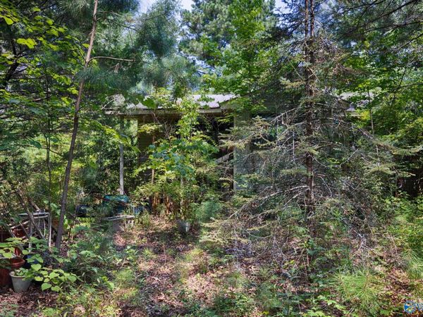 199 Williams Road, Toney, AL 35773