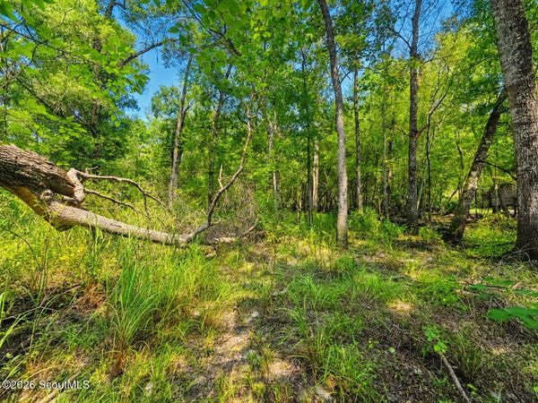 00 Herrin Lake , Nahunta, GA 31553