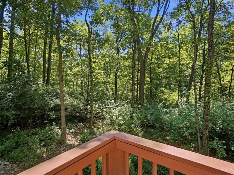 2043 Greenpine Drive, Springfield Township, OH 45231 Photo 62