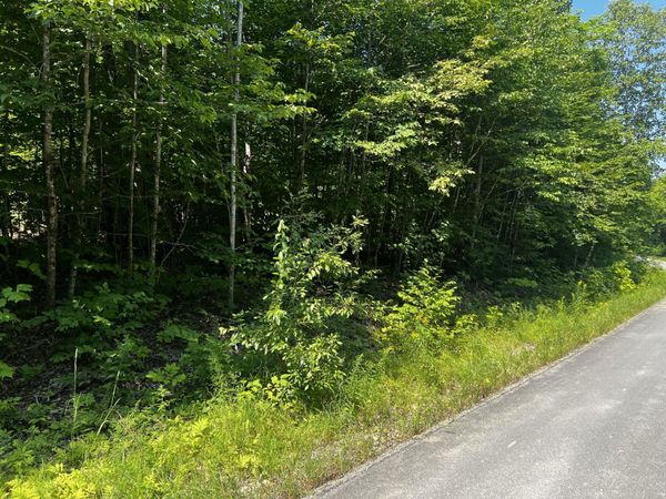 Lot 14-4 Baker Ridge Road , Danforth, ME 04424