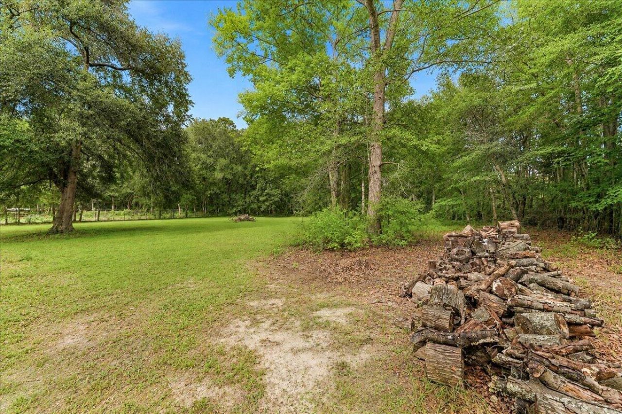624 Coral Acres Drive Photo 12