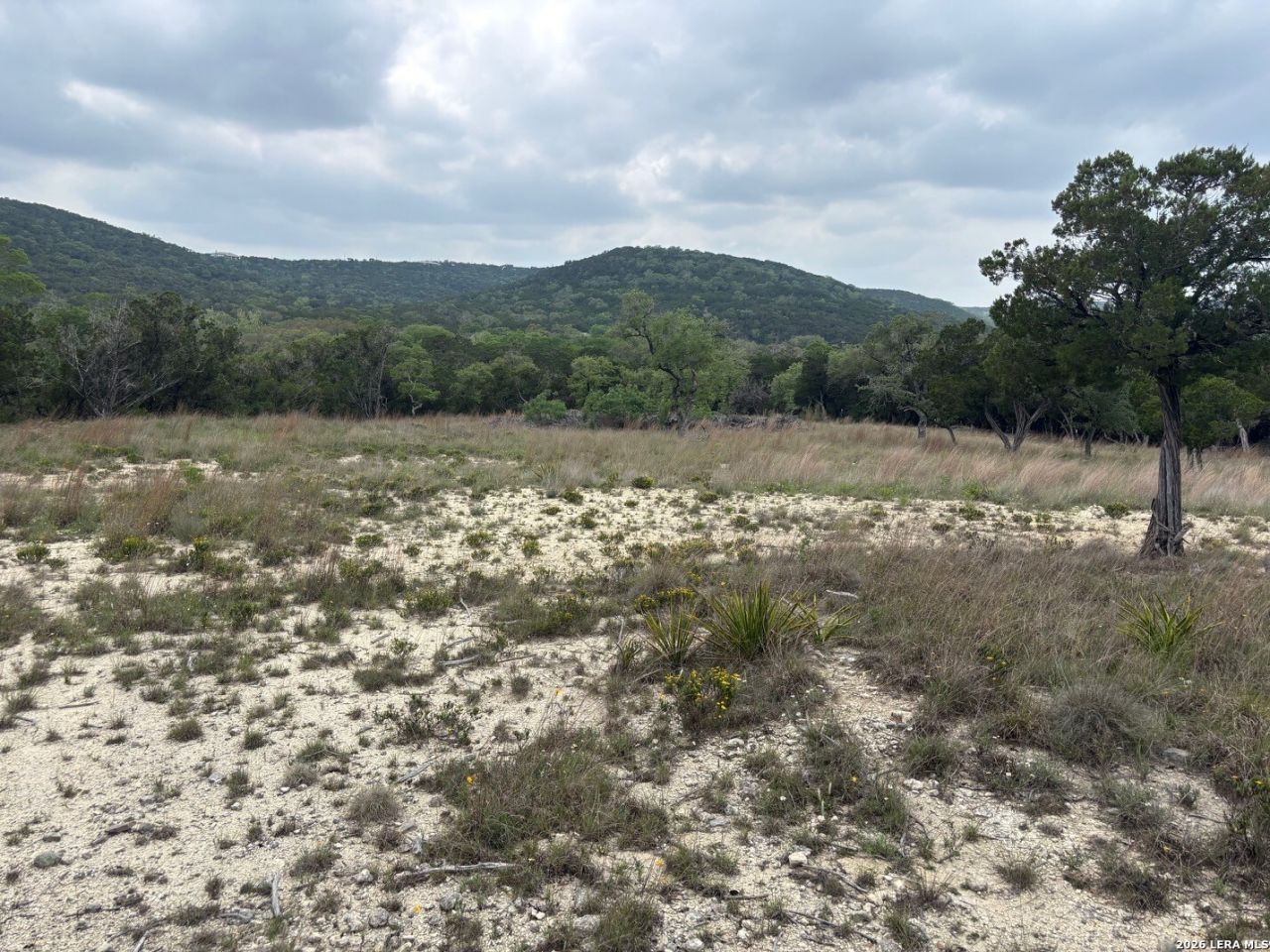 595 Canyon Frst, Helotes, TX 78023 Main Photo