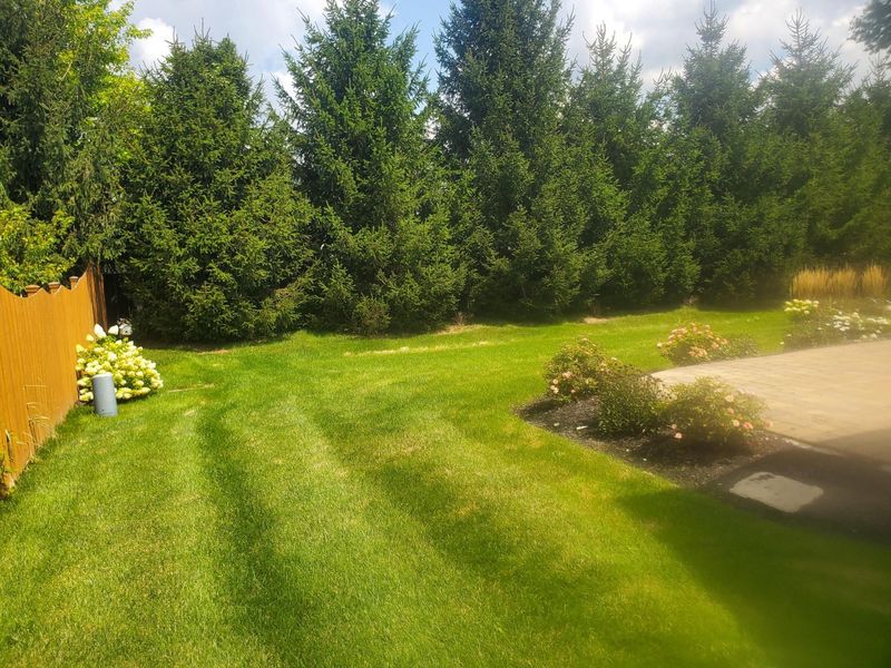 2261 Woodstock Avenue , Lewis Center, OH 43035 Photo 6