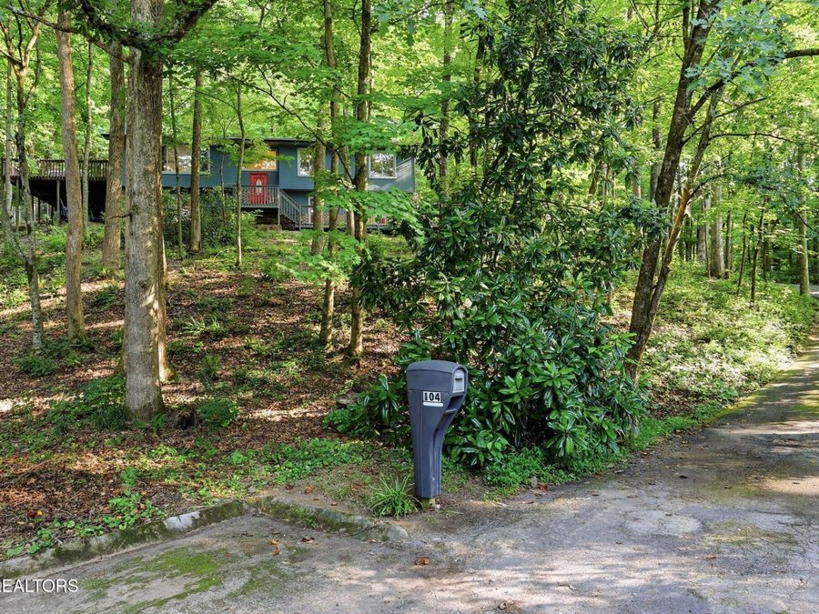 Property Image 38