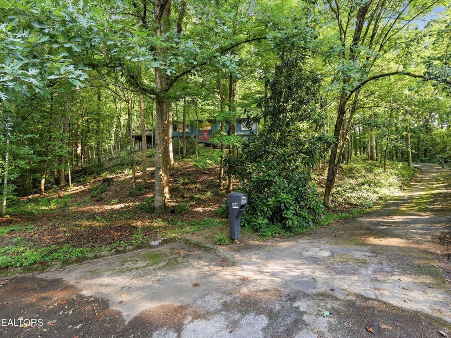 Property Image 39