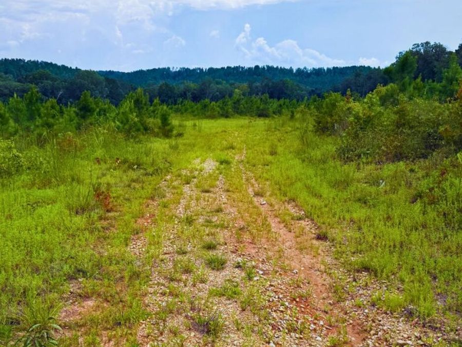 Property Image 33