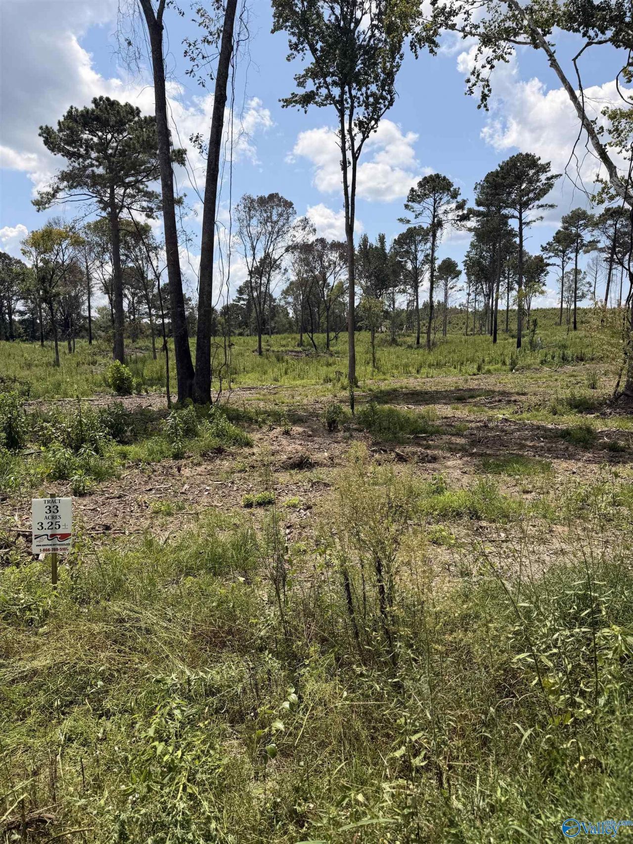 Lot 1 County Road 158, Centre, AL 35960 Main Photo