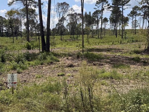 Lot 1 County Road 158, Centre, AL 35960