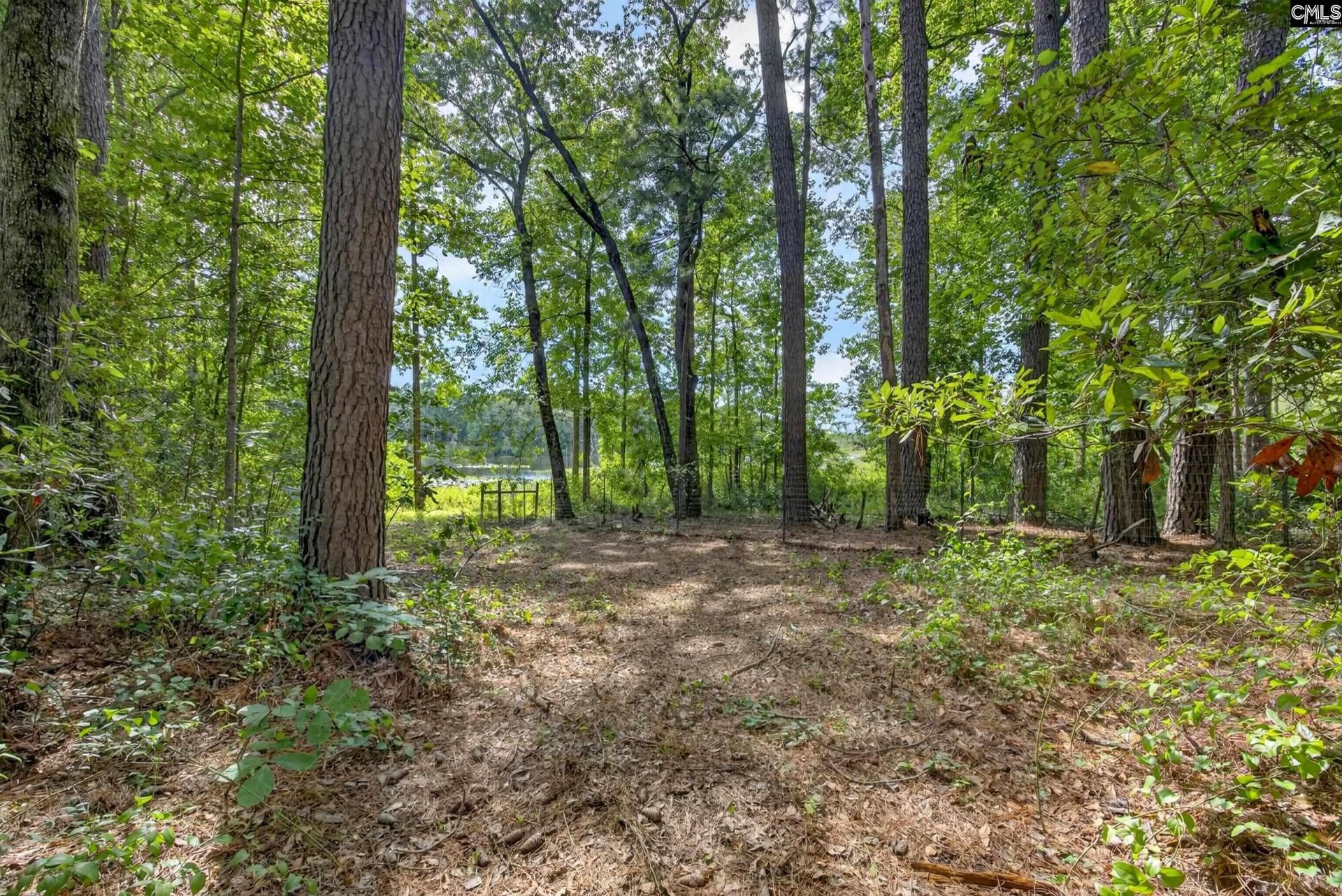 621 Martin Neese Road Photo 28