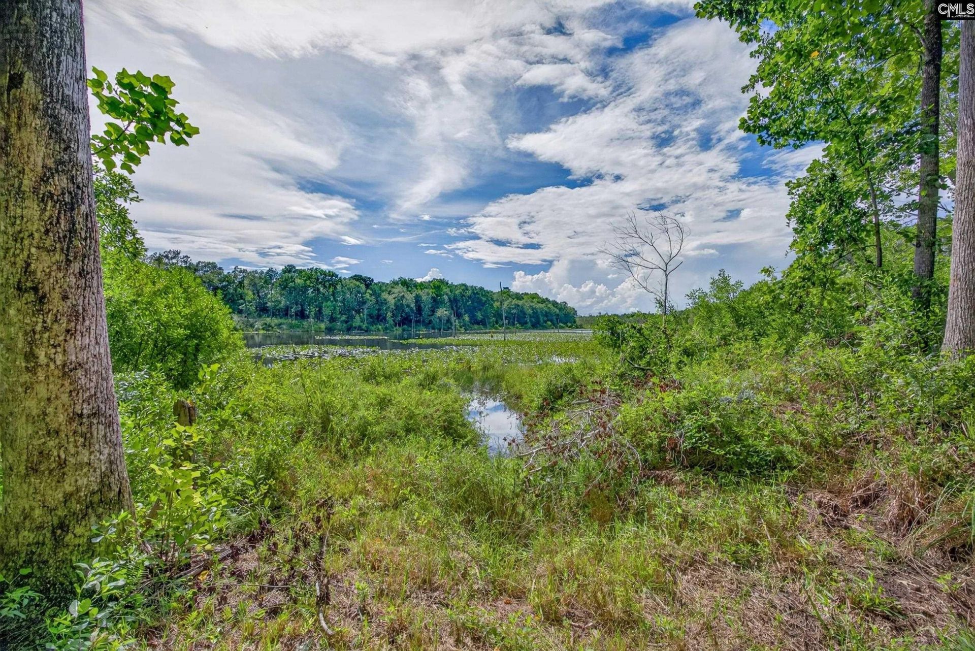 621 Martin Neese Road Photo 29
