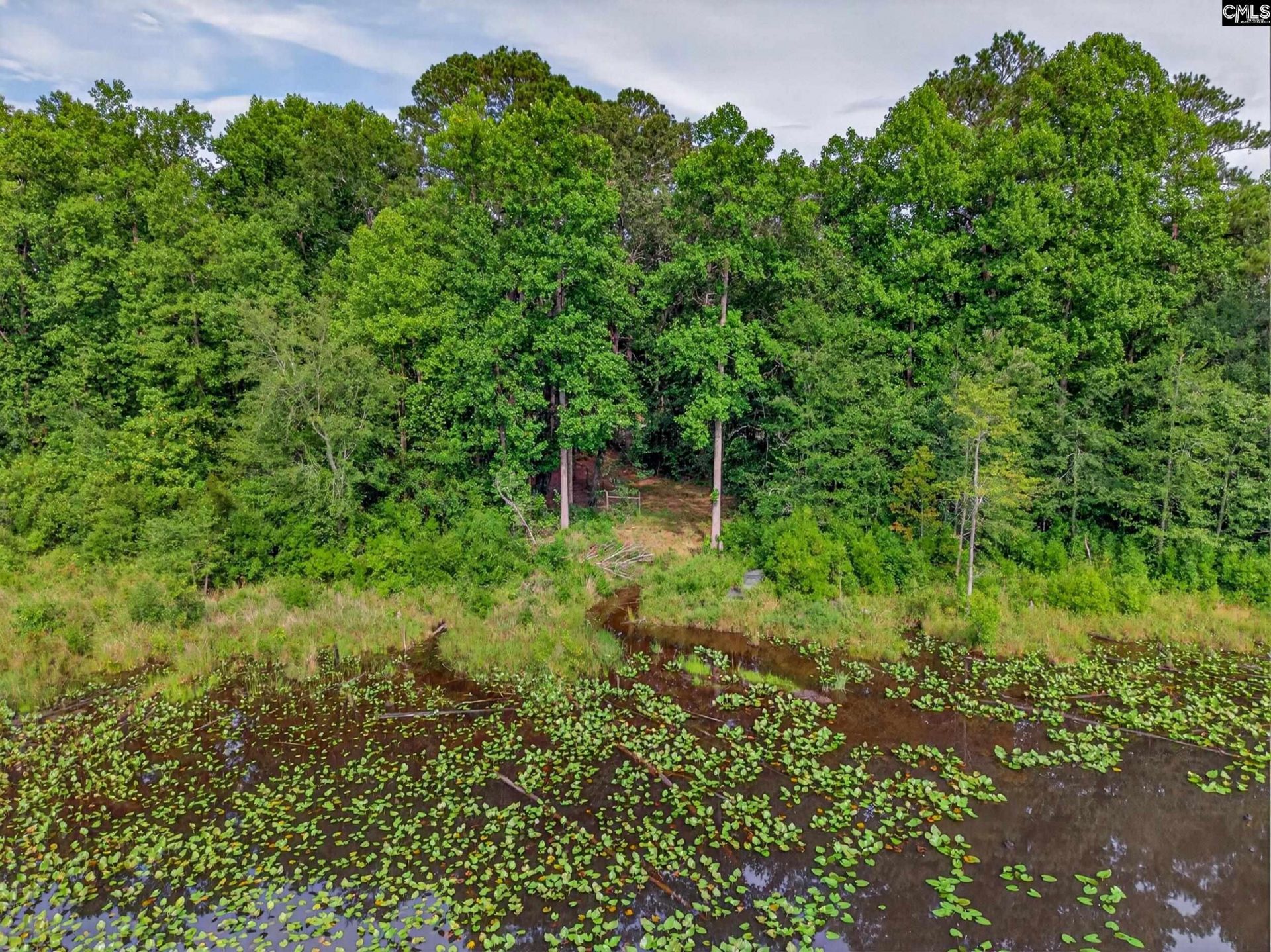 621 Martin Neese Road Photo 30