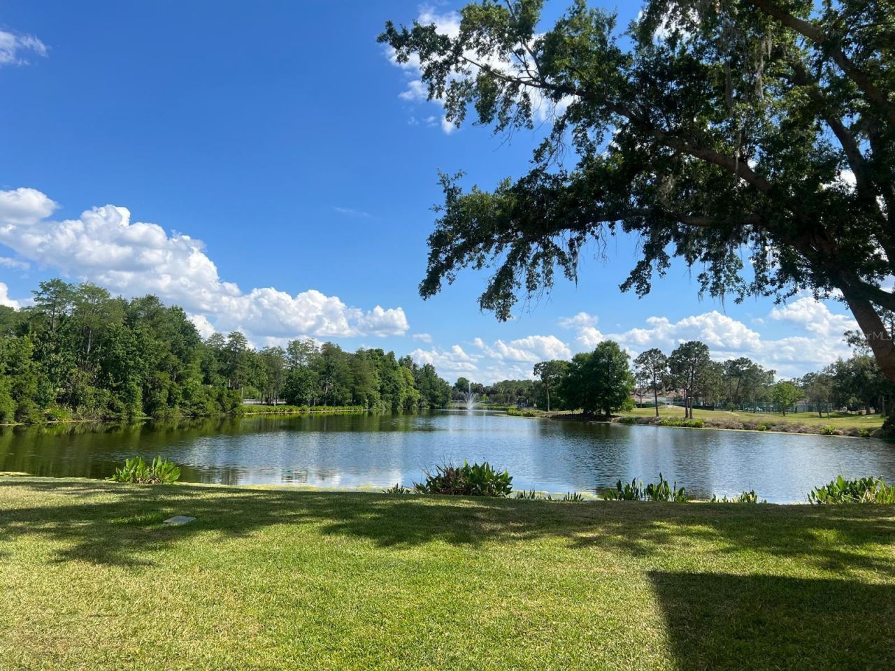 13560 Turtle Marsh Loop, Unit 338, Orlando, FL 32837 Photo