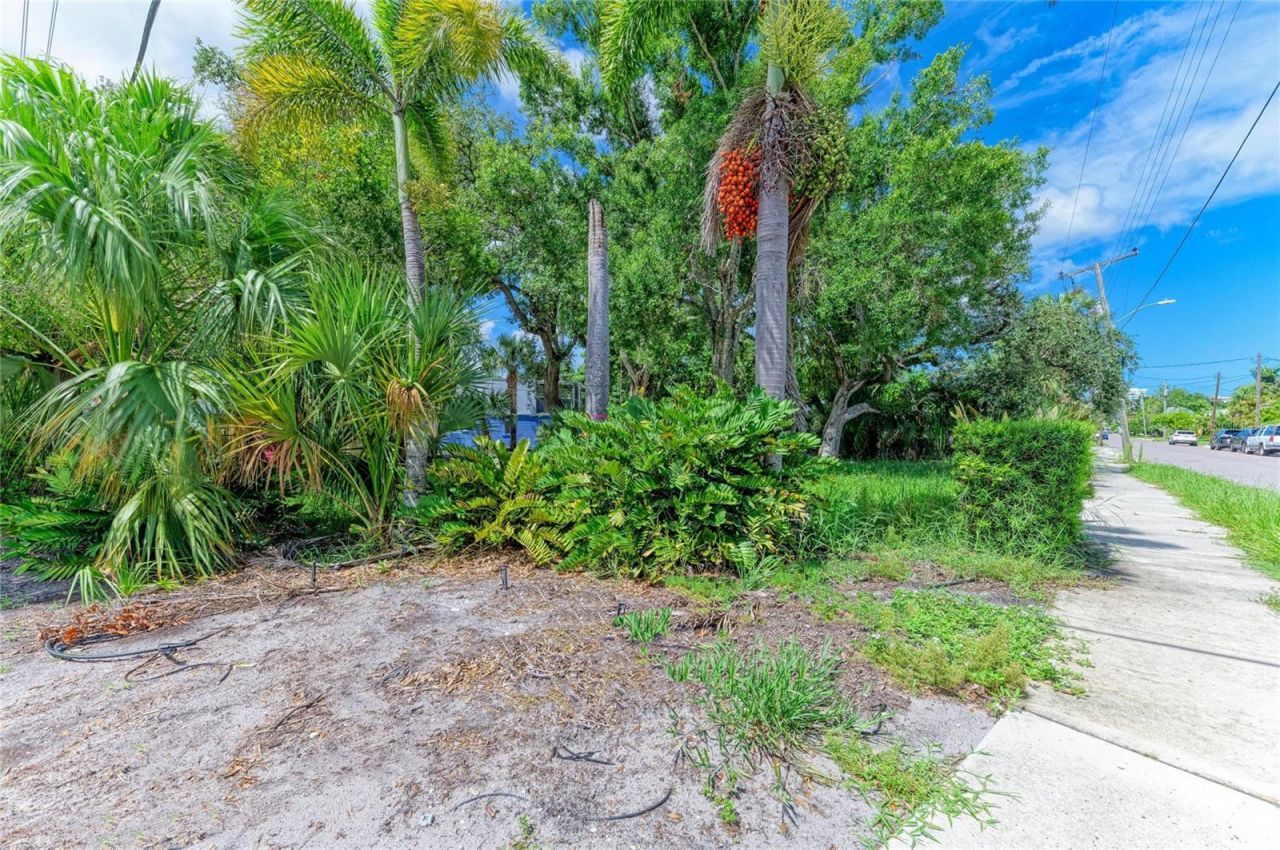 449 N Osprey Avenue, Sarasota, FL 34236 Photo