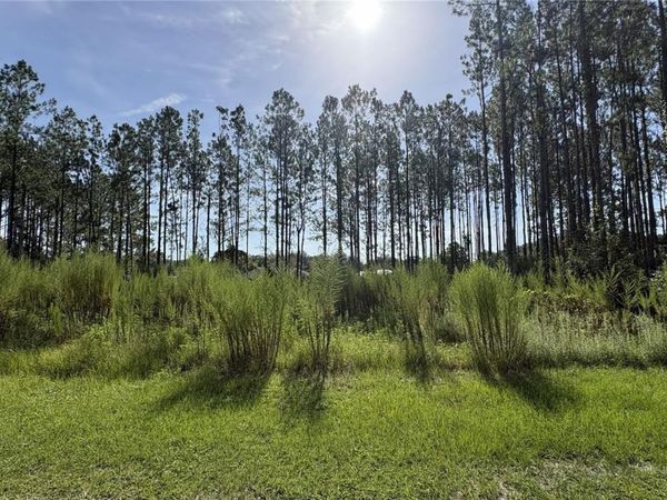 TBD NW 130TH AVENUE , HIGH SPRINGS, FL 32643