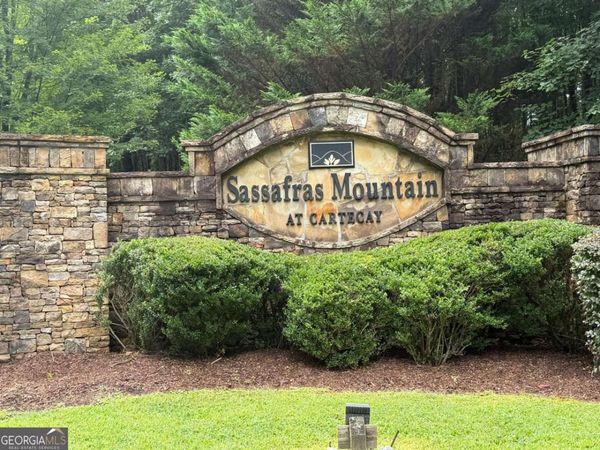 9 Foxpaw Leaf Court, Unit 9, East Ellijay, GA 30536