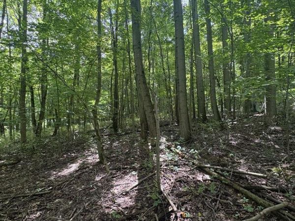 0 State Route 13, Bellville, OH 44813
