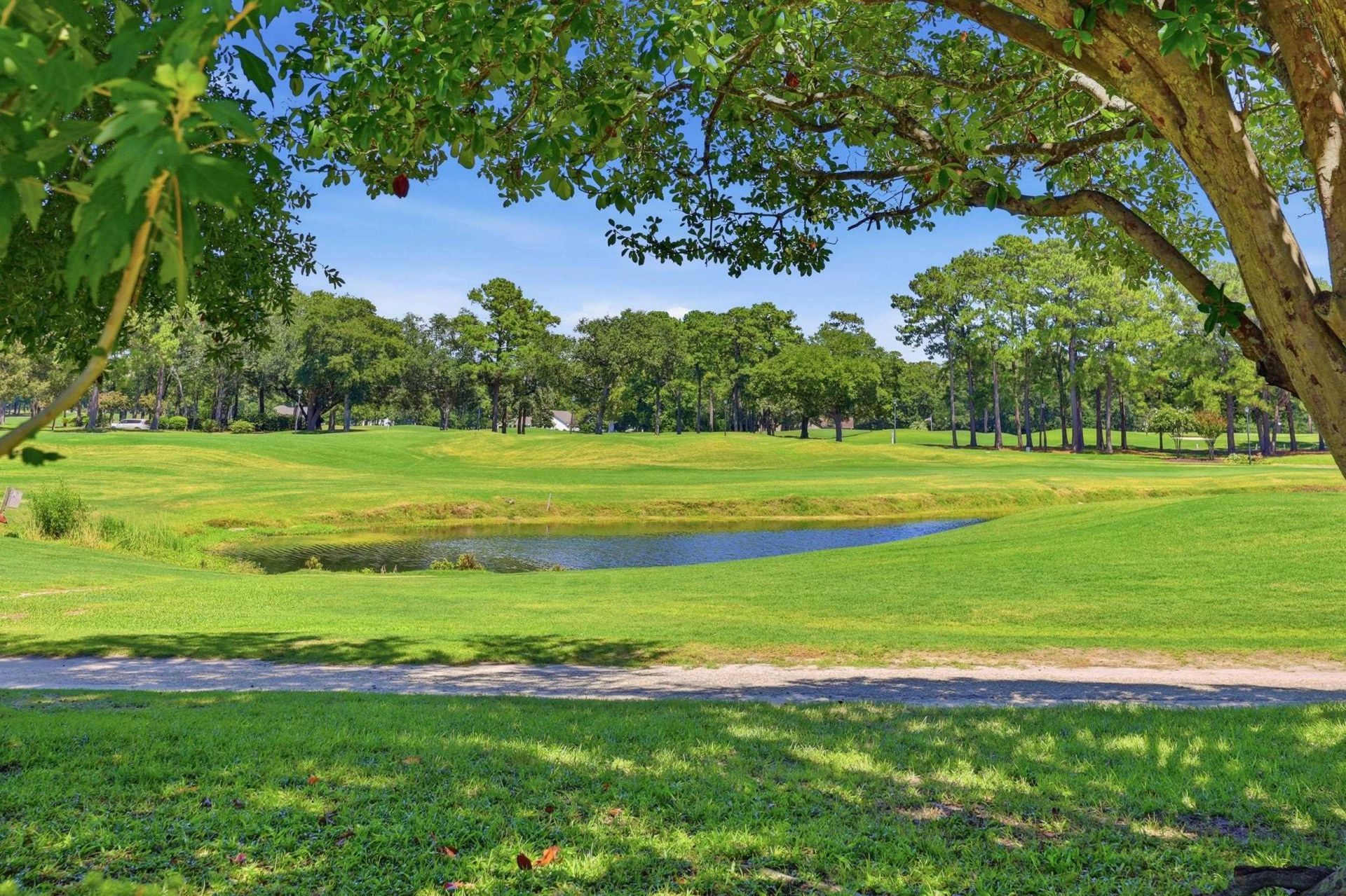 4504 Spyglass Dr. Photo 42