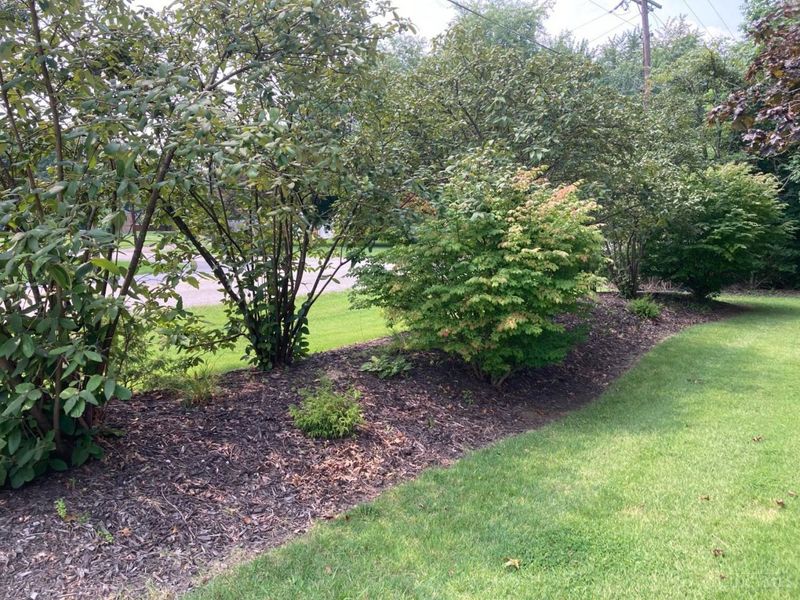 1324 Woodville Pike, Miami Township, OH 45150 Photo 31