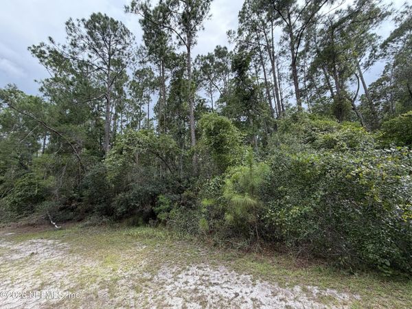 207 TEQUESTA Trail, Georgetown, FL 32139