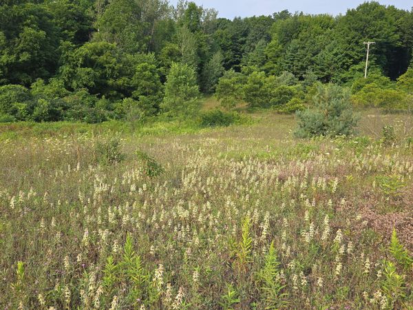 N 72nd Avenue, Hart, MI 49420