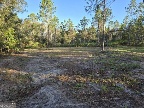 600 Alton Lawson Road, Adrian, GA 31002