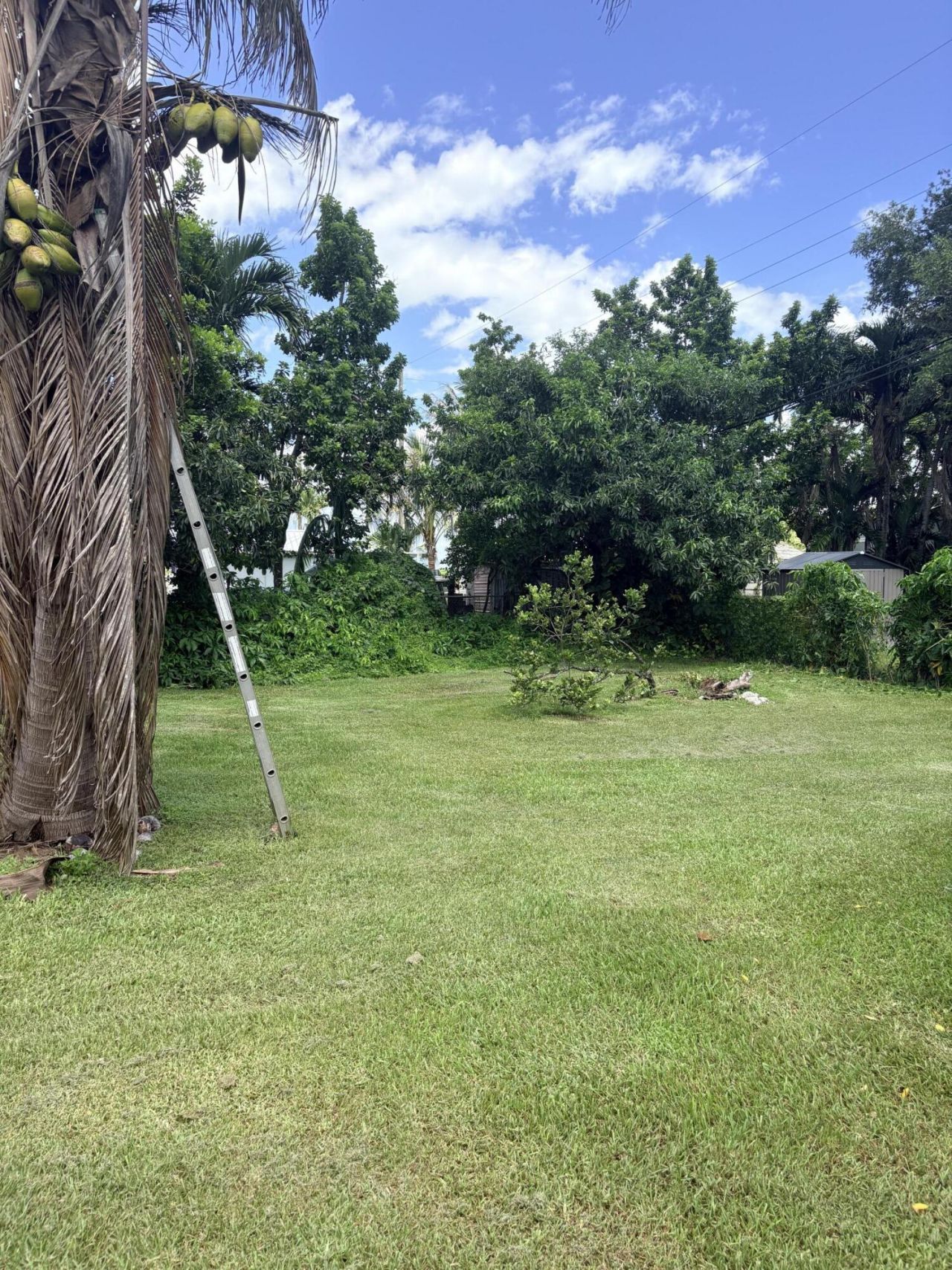1117 NE 23rd Street, Belle Glade, FL 33430 Photo