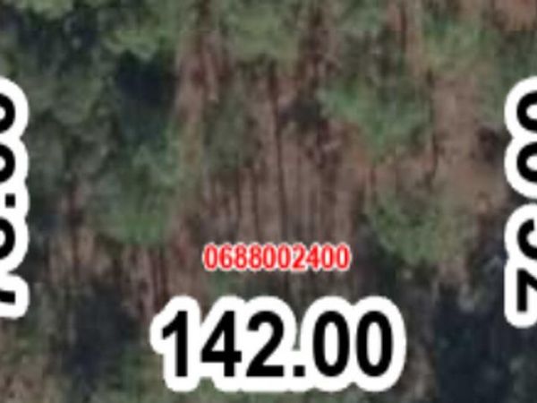 000 SE 134th court, Dunnellon, FL 32621