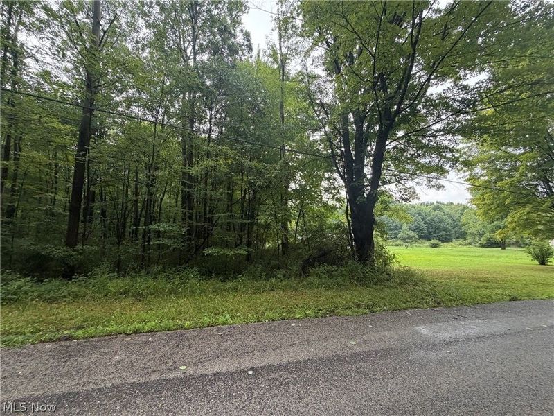 Indiana Street NE, Alliance, OH 44601 Photo 1
