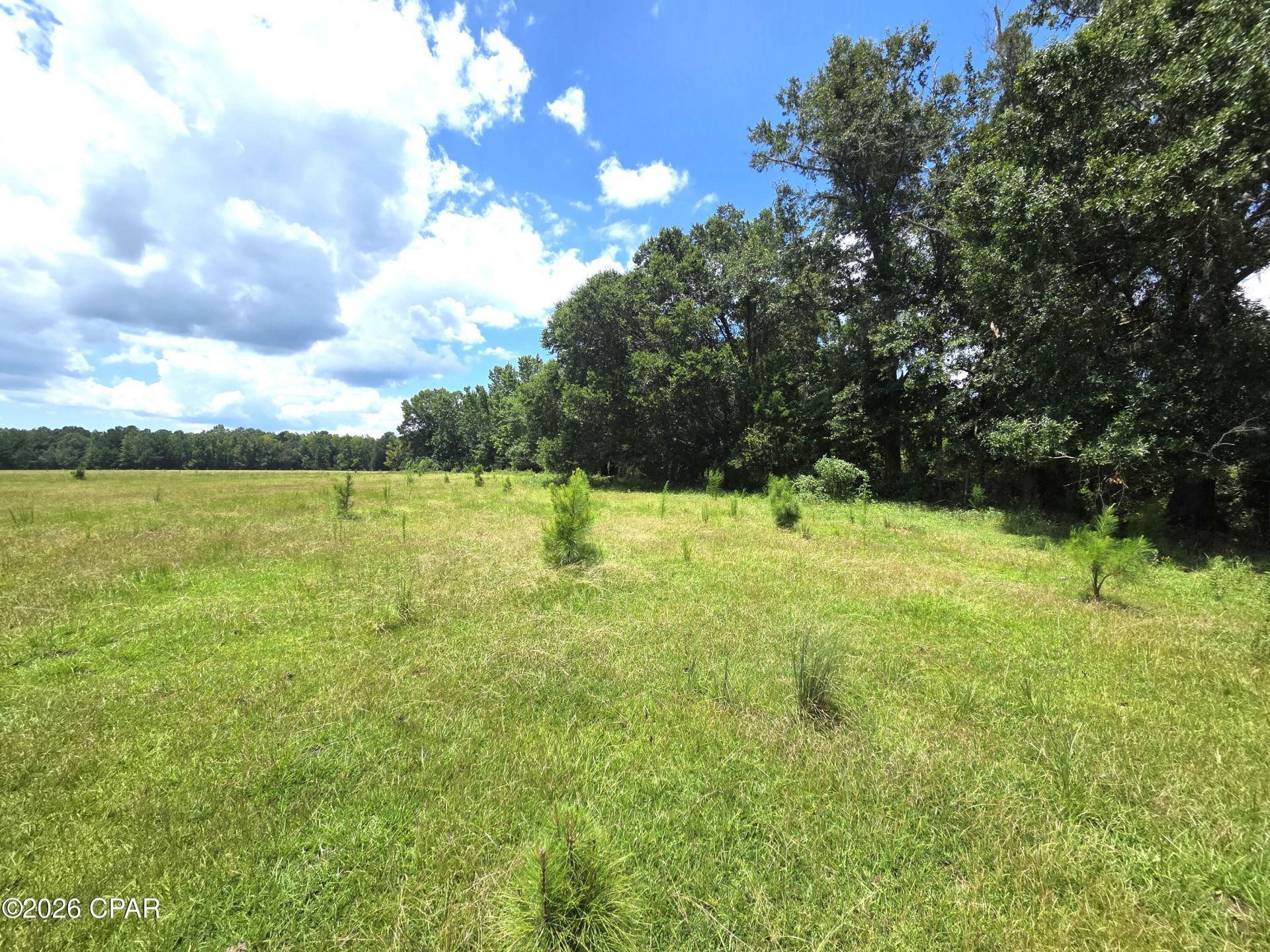 Xxx SW County Road 379, Bristol, FL 32321 Main Photo