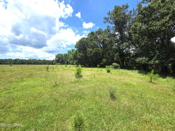 XXX SW County Road 379, Bristol, FL 32321