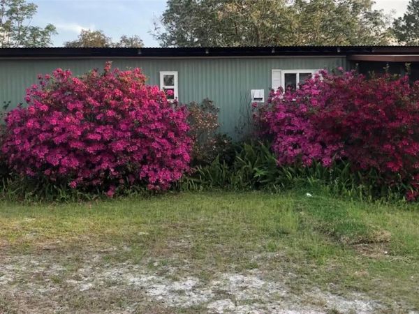 31304 HILLSIDE DRIVE, DELAND, FL 32720
