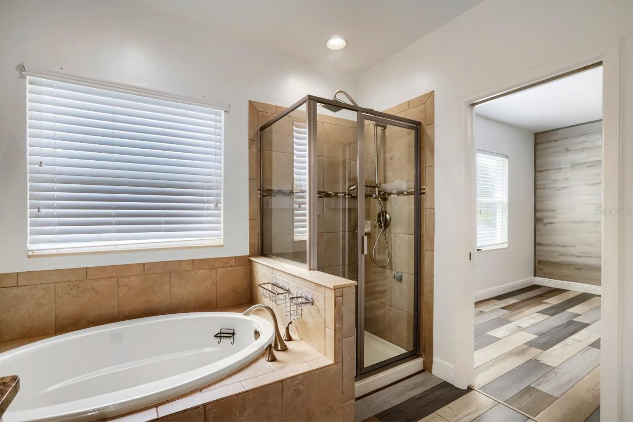 3951 Pacente Loop, Wesley Chapel, FL 33543 Photo