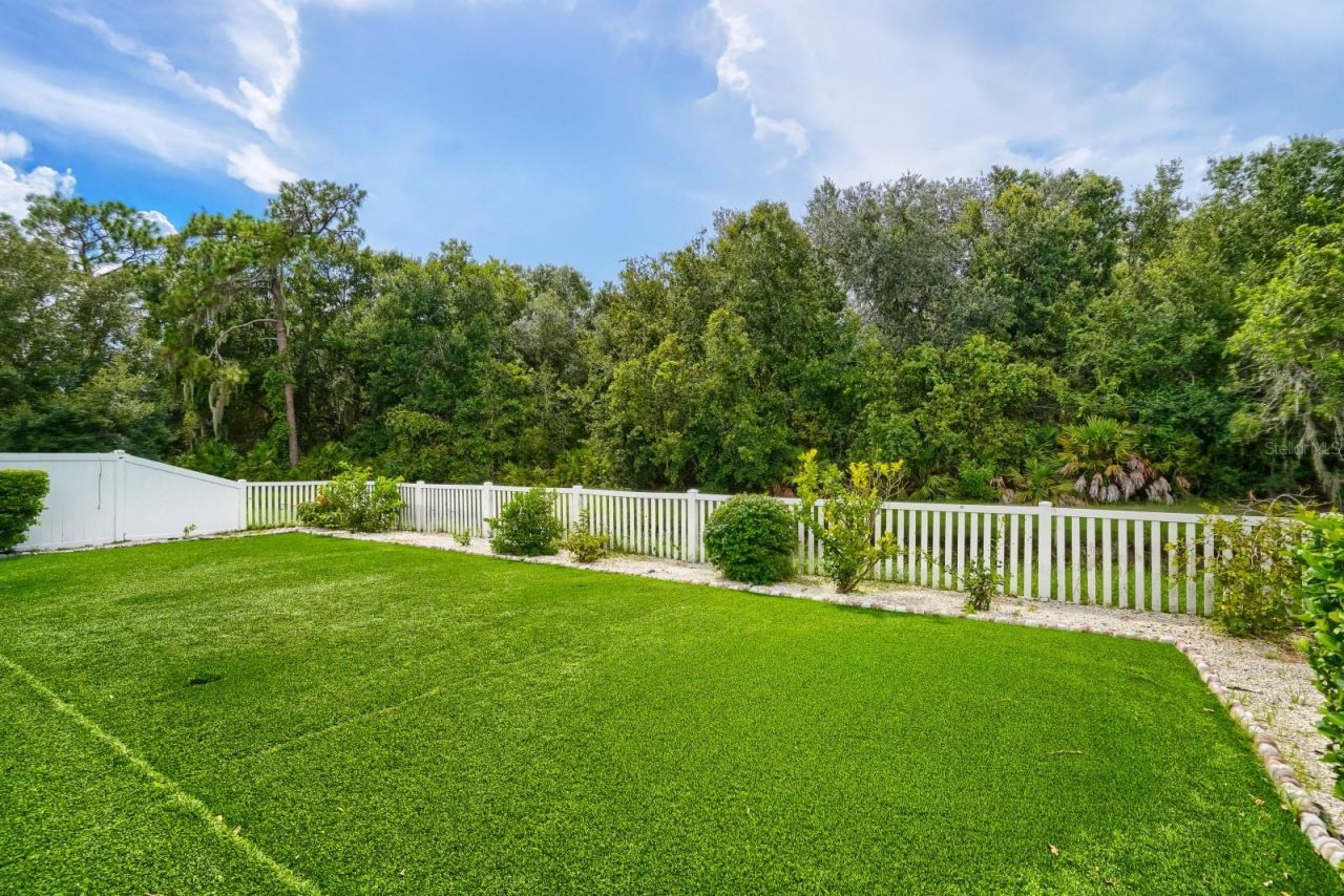 3951 Pacente Loop, Wesley Chapel, FL 33543 Photo
